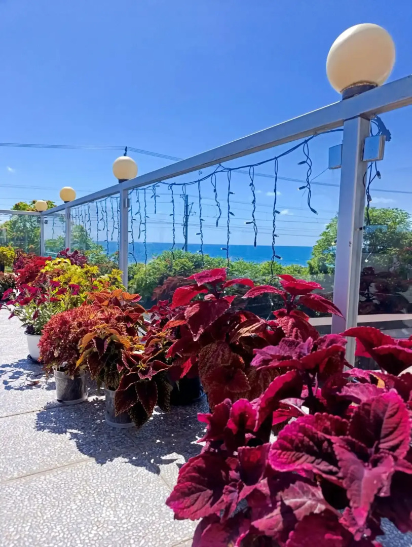 Гостевой дом Villa Soho Sochi Russia