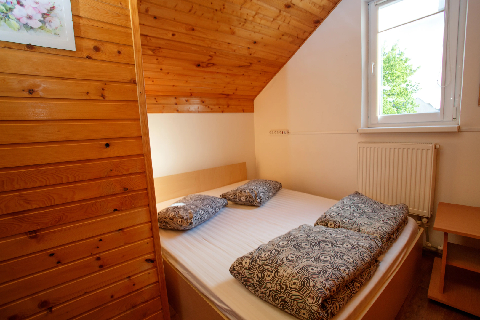 Частный Дом с 3 Спальнями на Балтийском Море