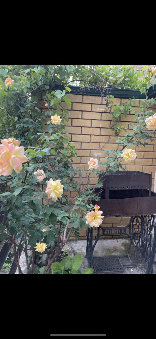 Гостевой Дом Курортный домик у Машука