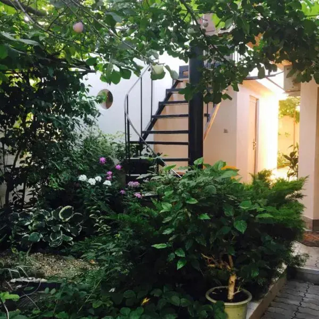 Гостевой дом Тенистый дворик