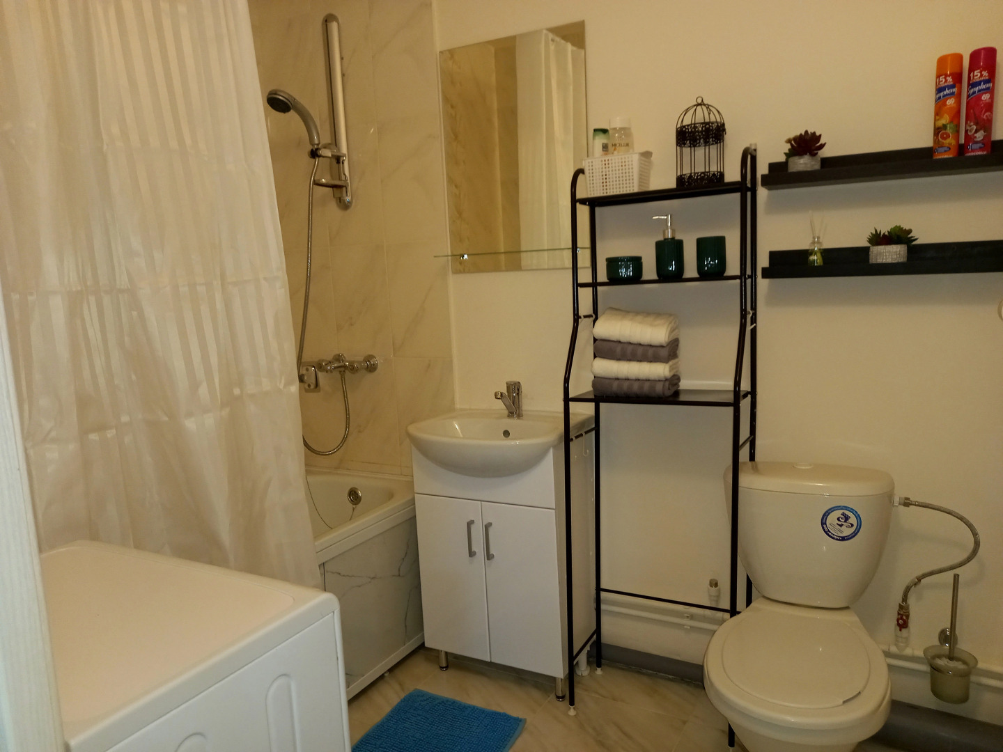 Апартаменты Винтаж Зелёный Город 4