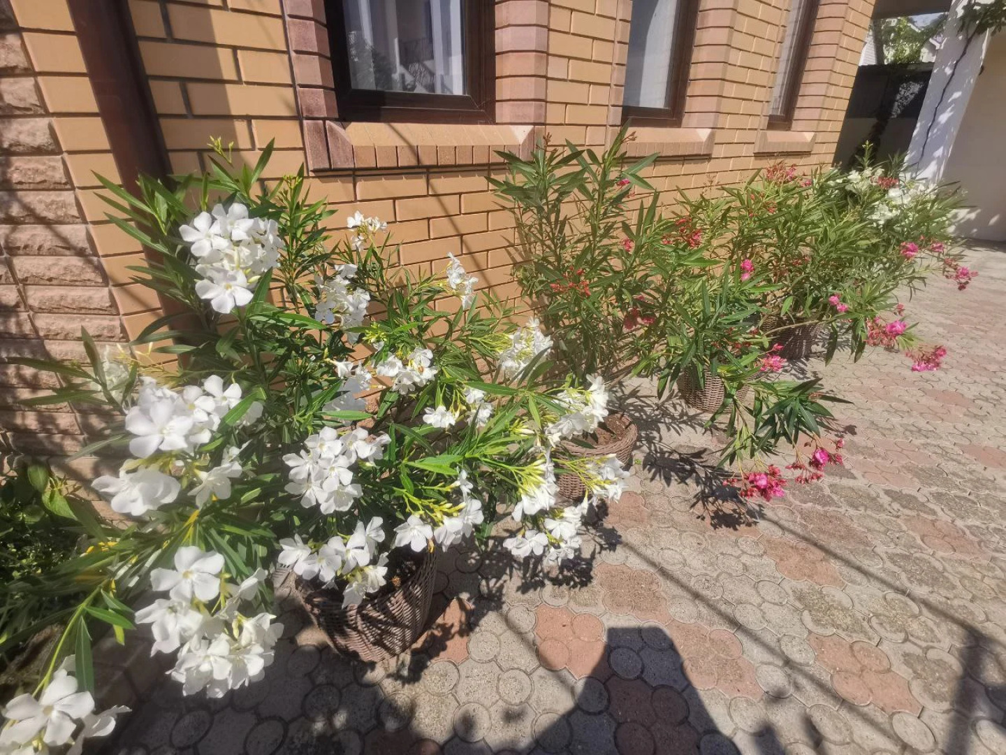 Гостевой Дом Бриз