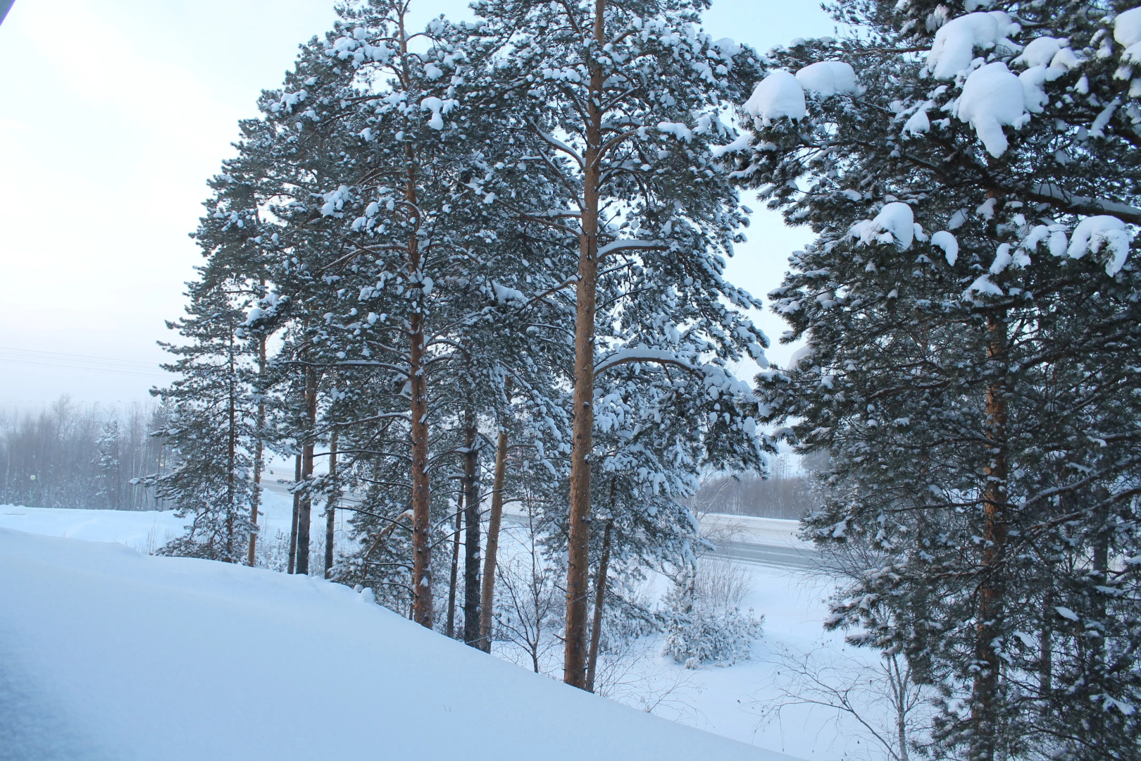 Отель Ливадия