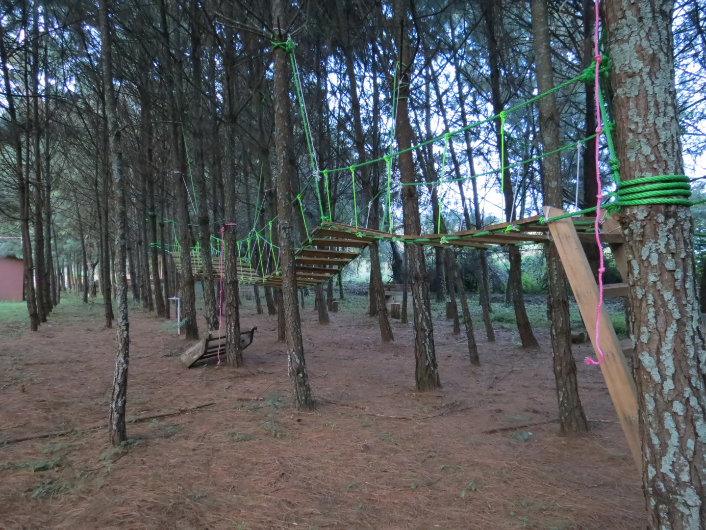 Отель Viña Real Cabañas Rotamundos