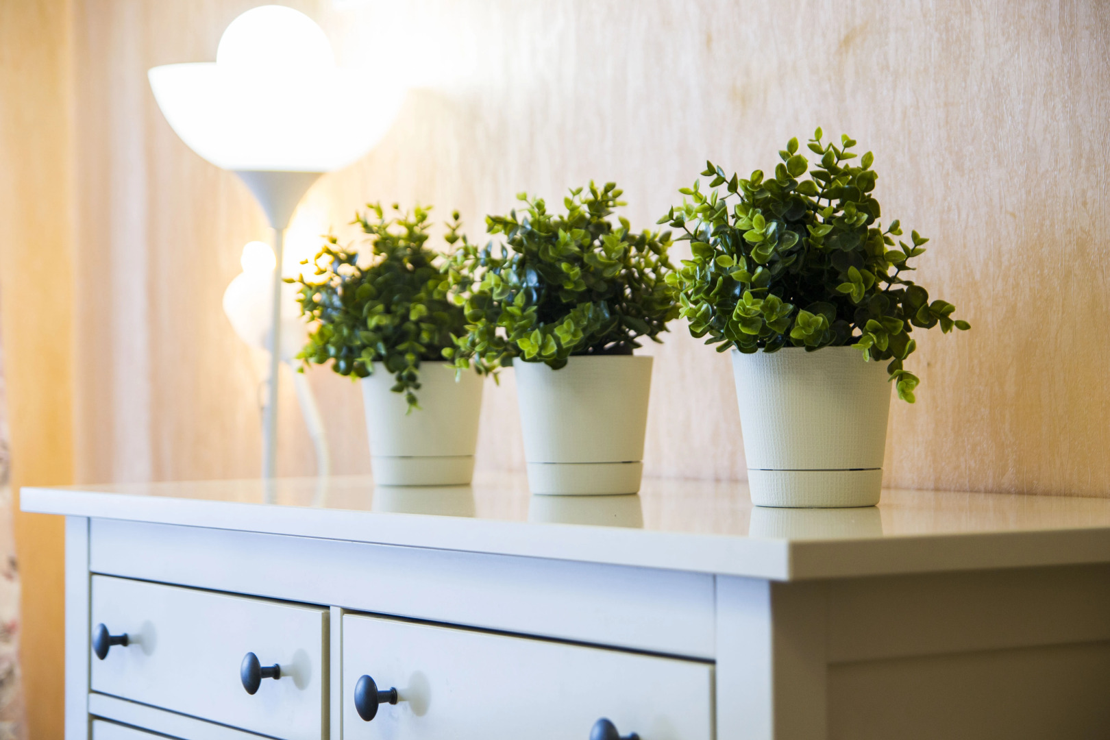 Апартаменты на Маяковского 20