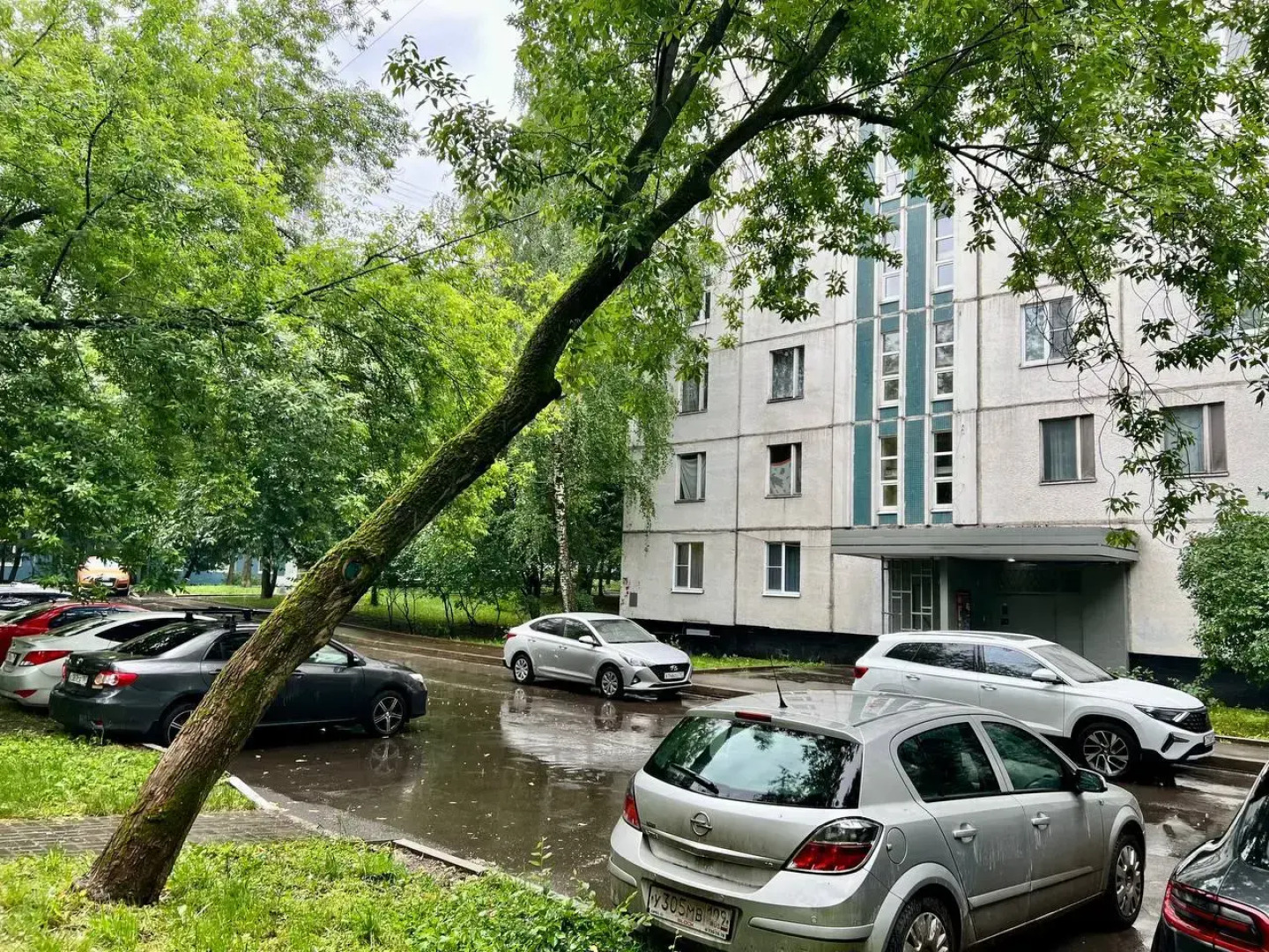 Квартира Двухкомнатная Natali apart на метро Варшавская