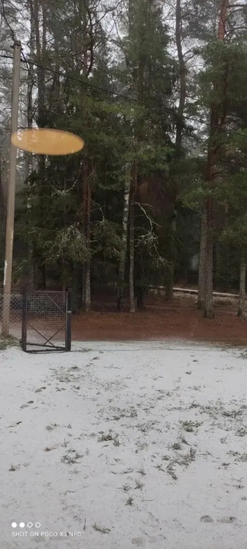 Частный Дом Сосны