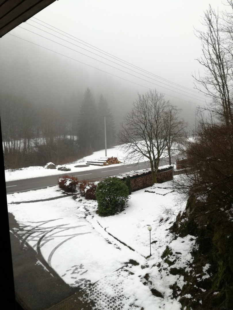 Апарт-Отель Black Forest family