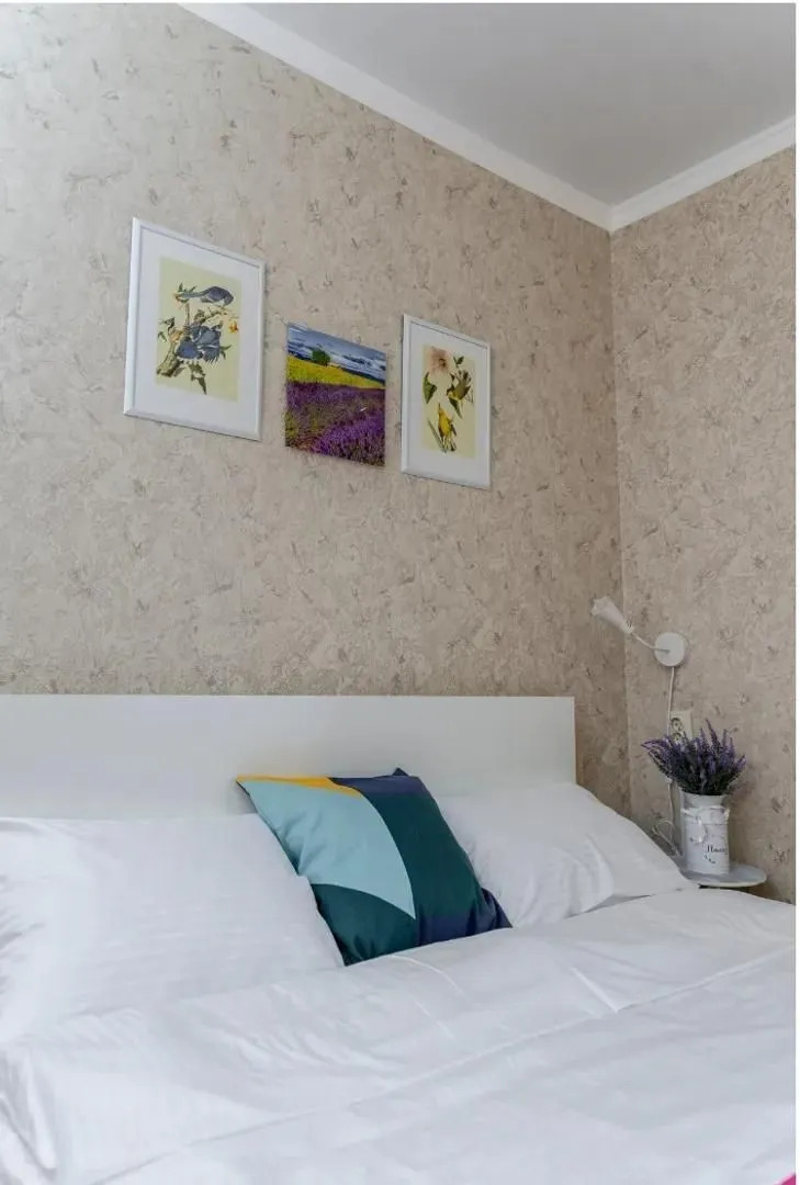 Апартаменты Центр с видом на Бештау и Машук