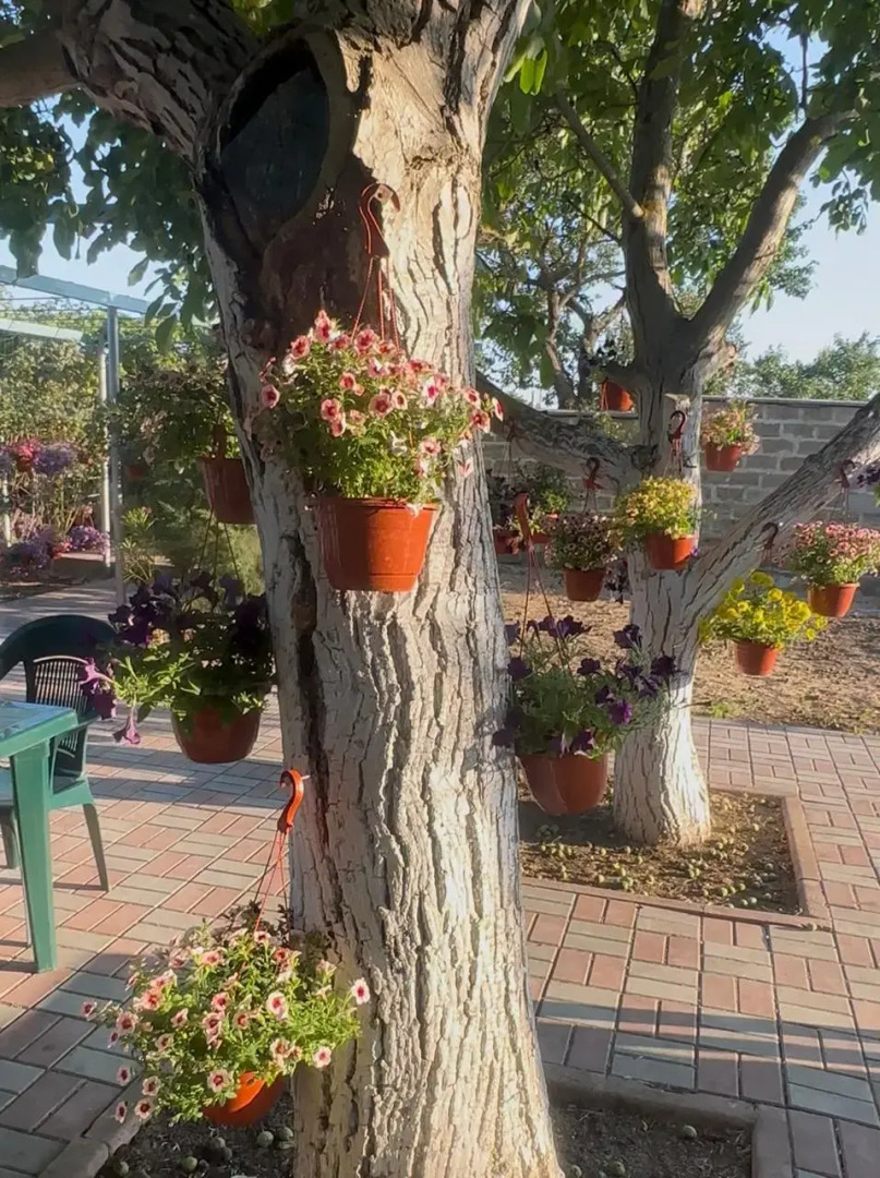 Гостевой дом Морская сказка