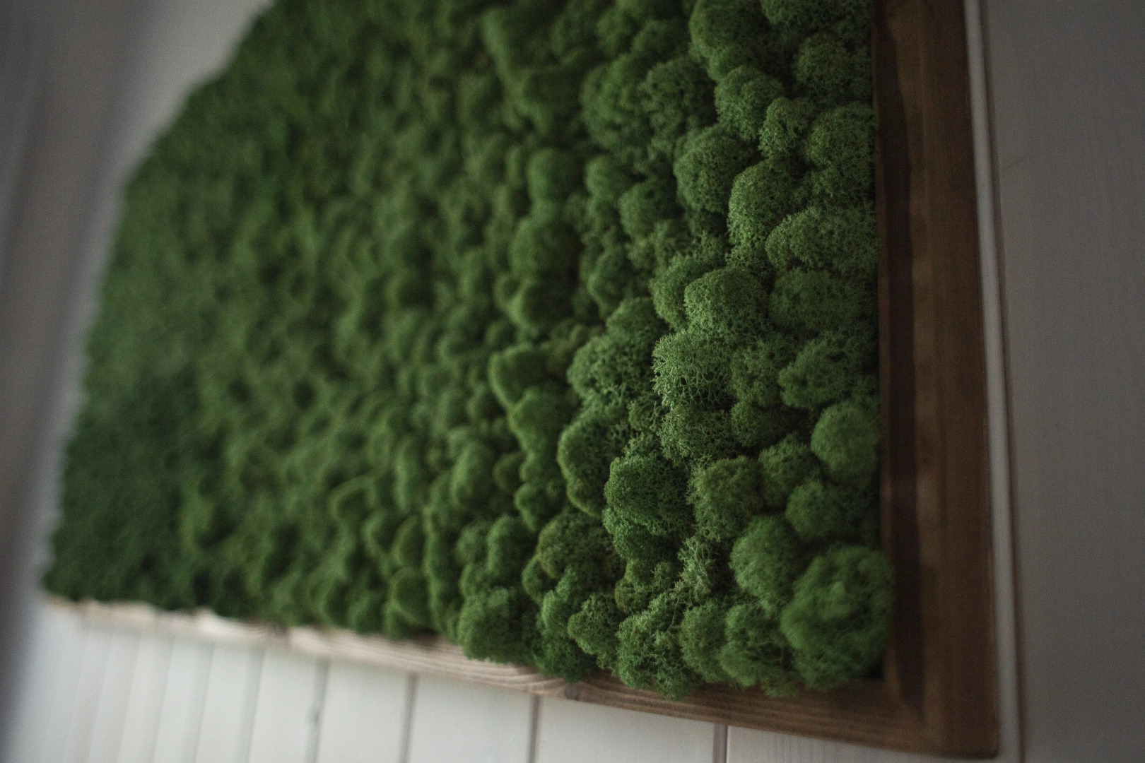 Частный дом Алтын Сарай