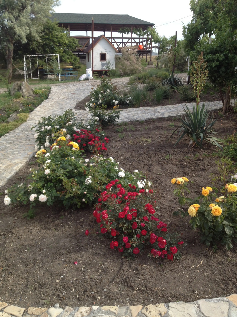 База отдыха Бухта