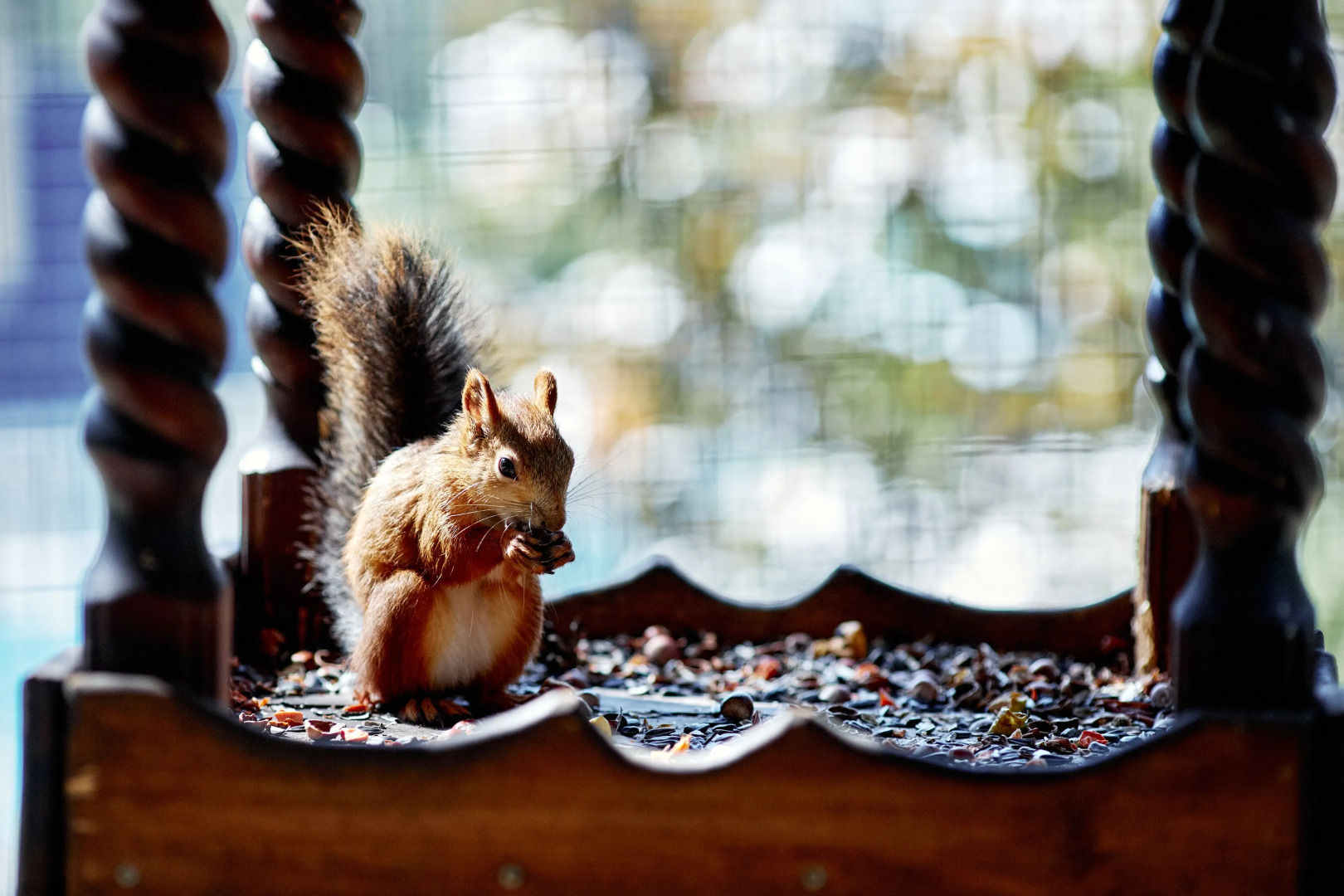 Отель Гостиничный Комплекс Росинка