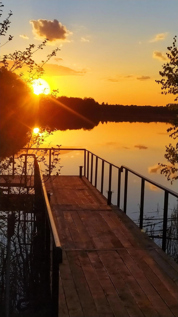 База Отдыха Лесная Гавань