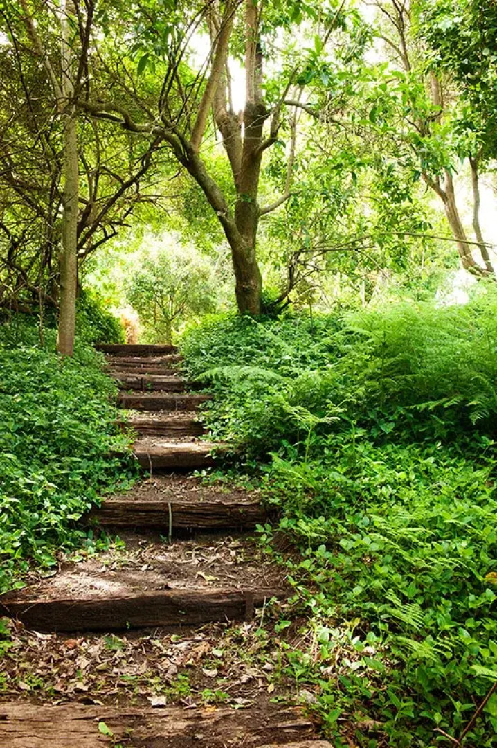 Гостевой Дом ArendsRus Counrty Lodge