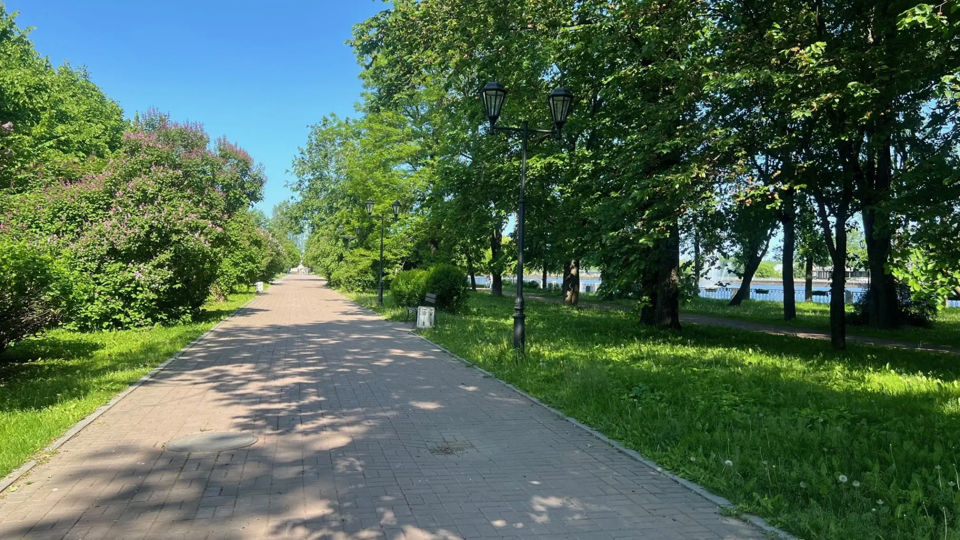 Апартаменты Студия на Ленинградском