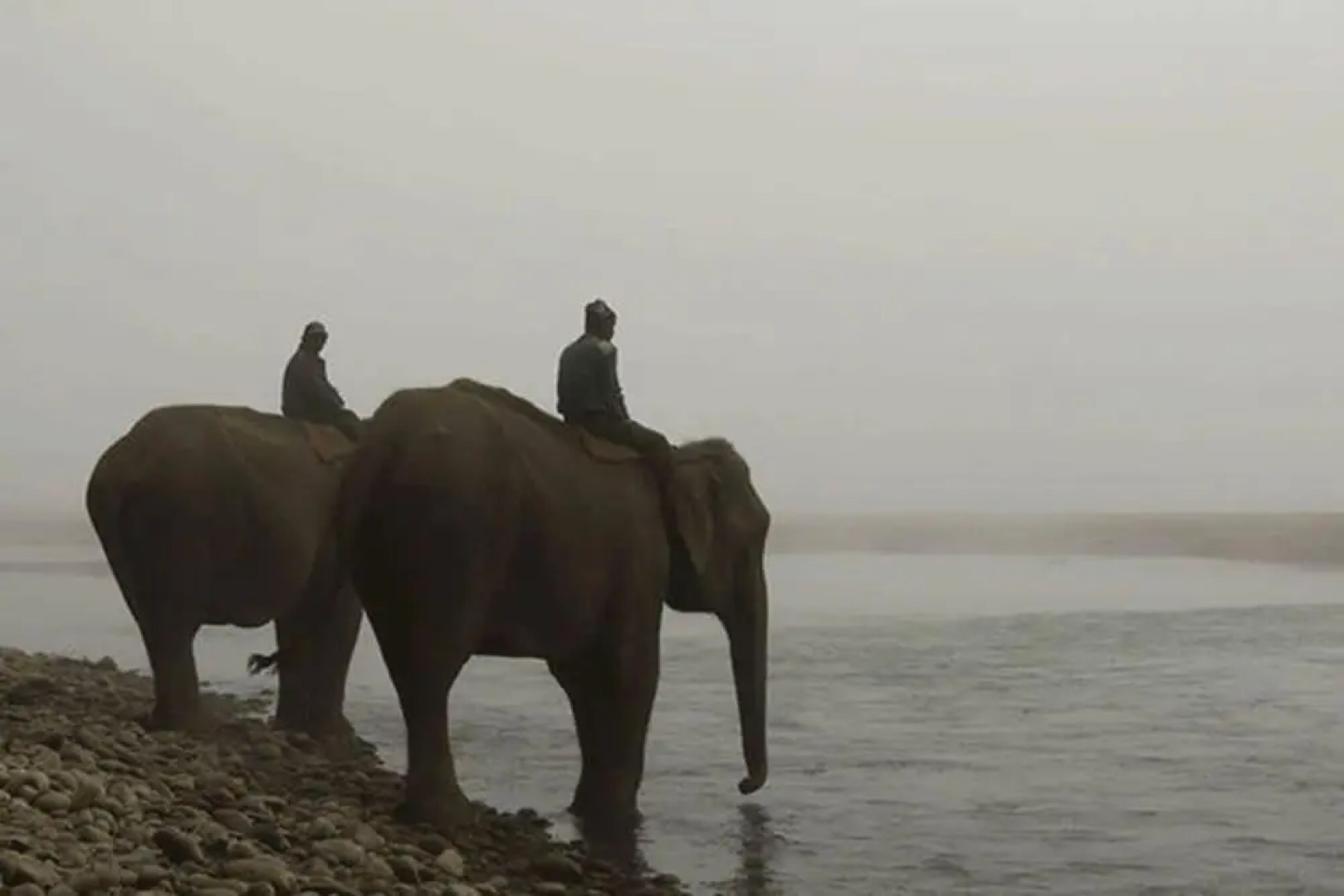 Кемпинг Tigertops Elephant Camp