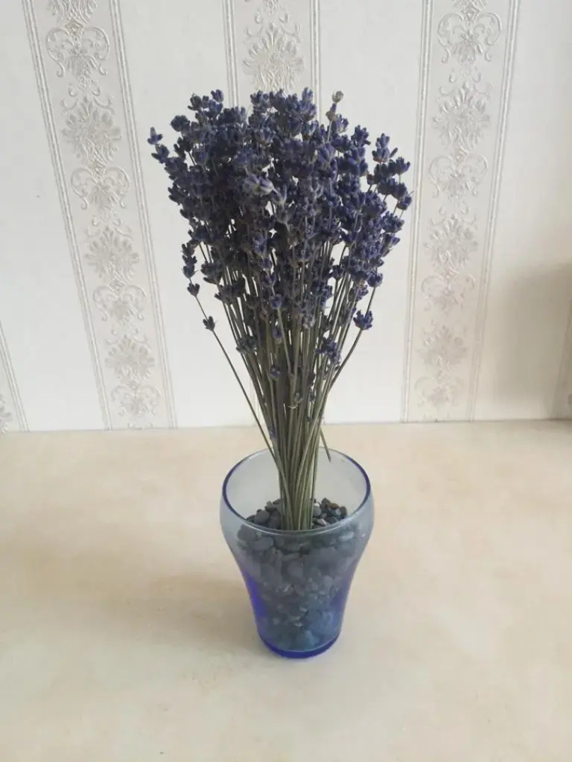 Апартаменты Картинки Массандры