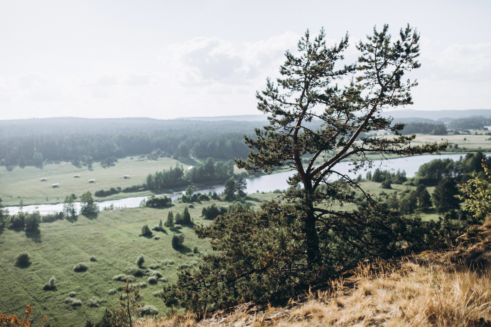 Глэмпинг Lago Ladoga