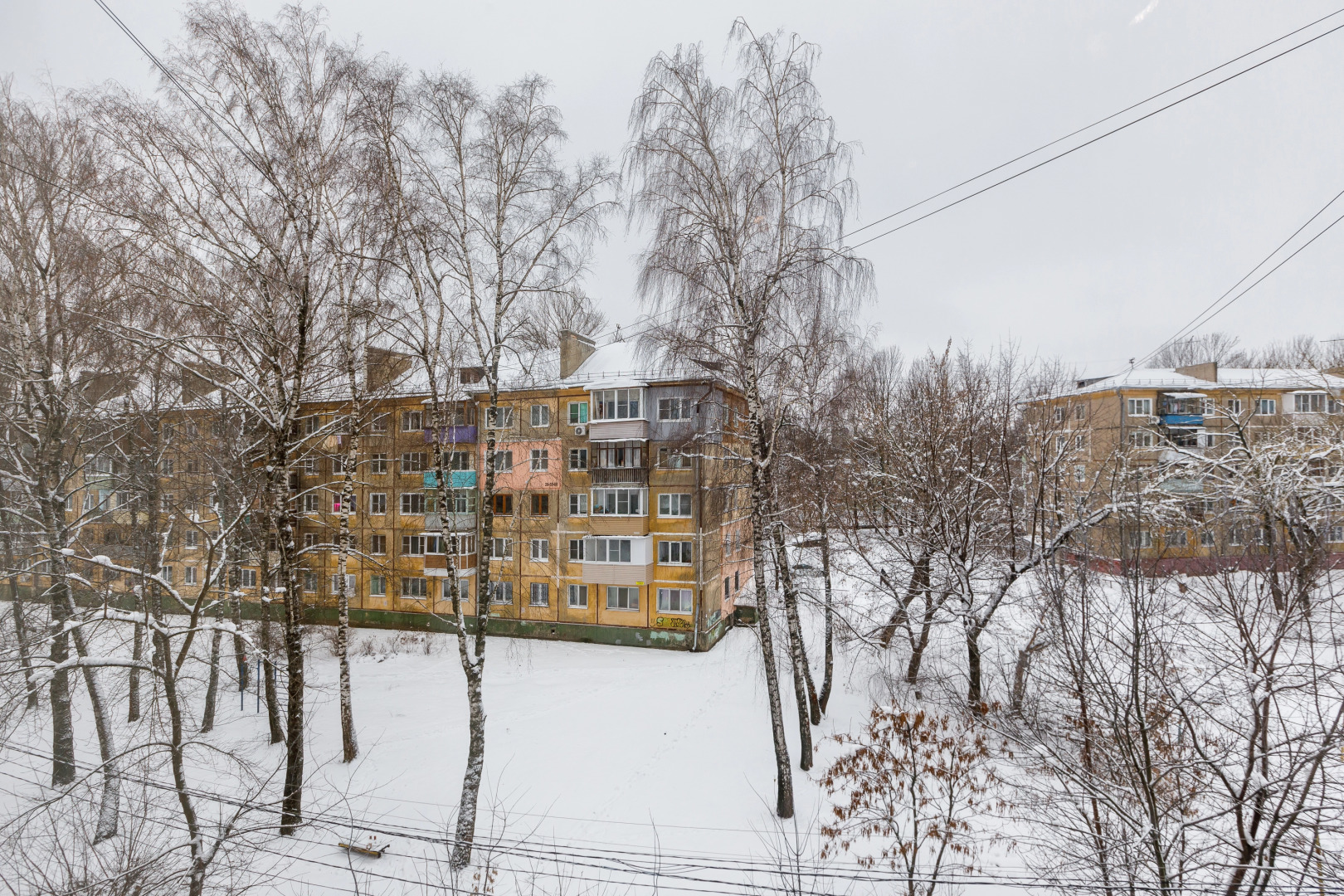 Квартира Толстой