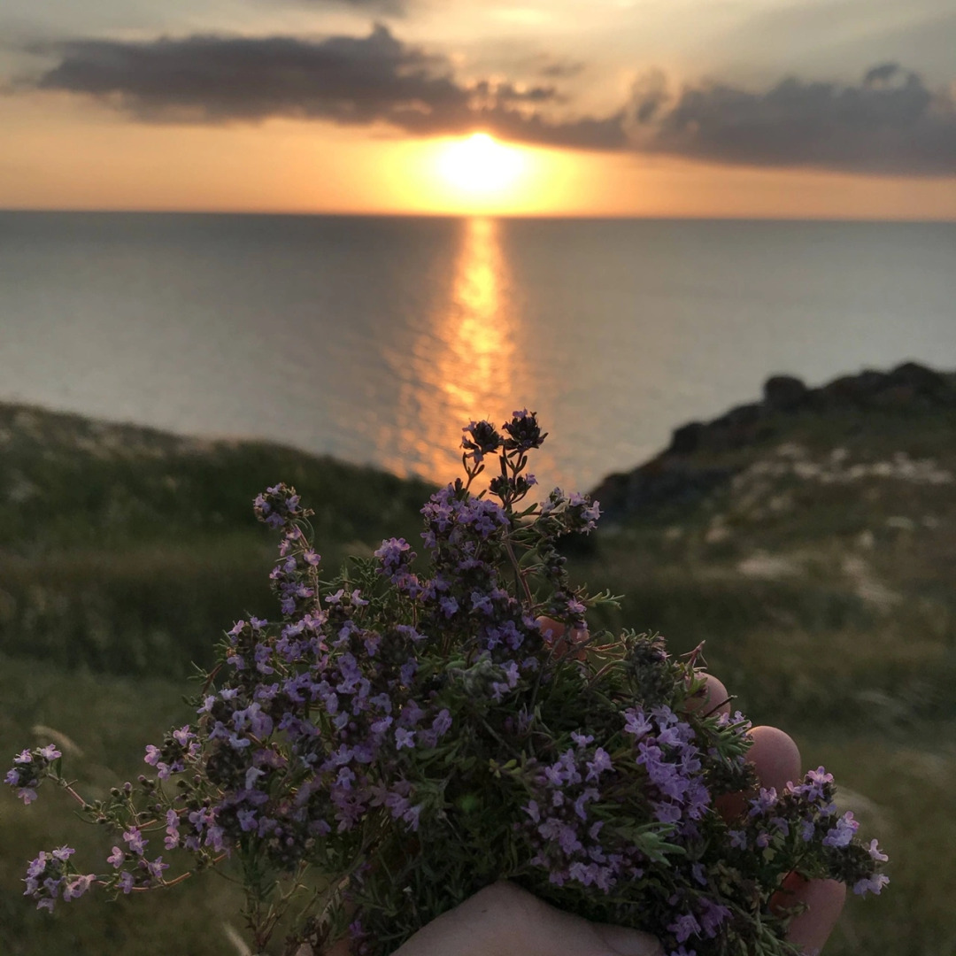 Гостевой Дом Уютный дом на берегу моря