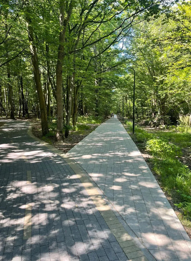 Апартаменты MOOV Apart Park Стандарт