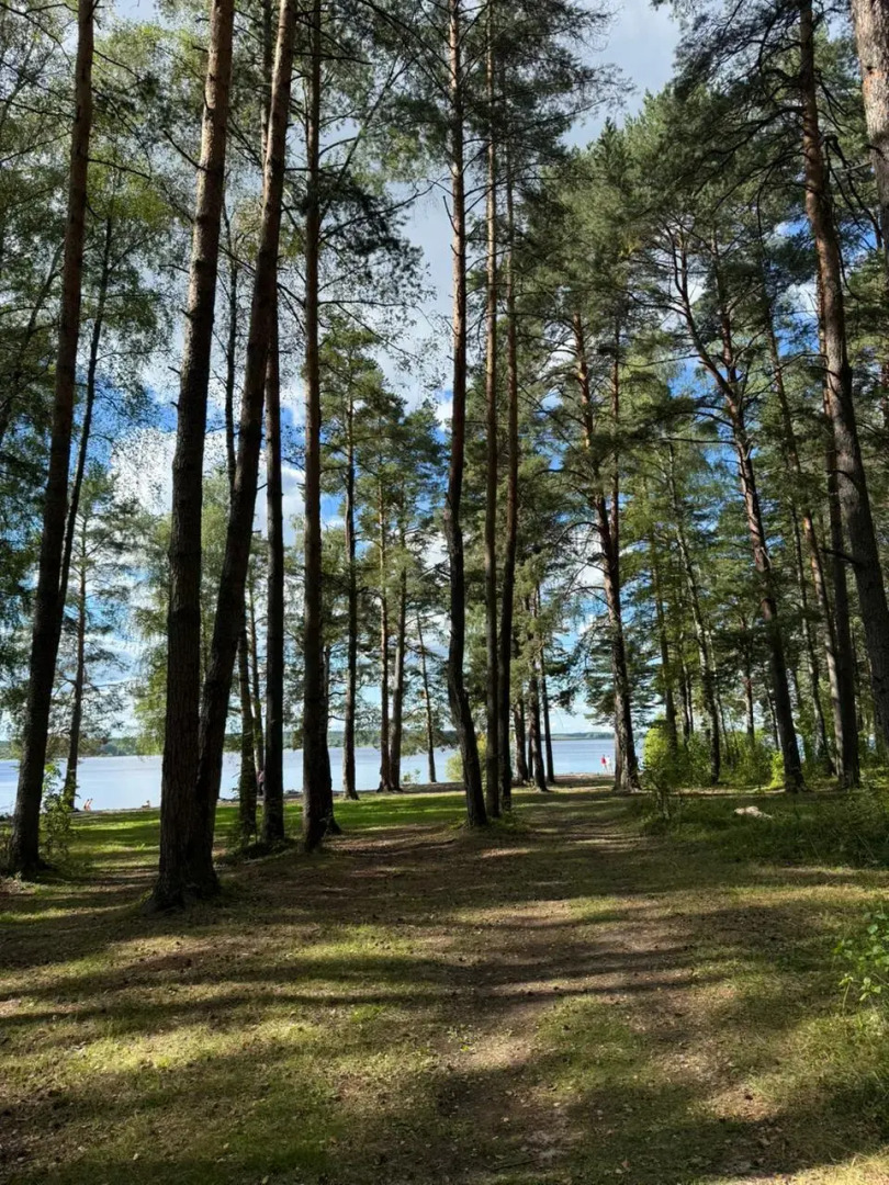 Частный Дом в Сосновом Бору