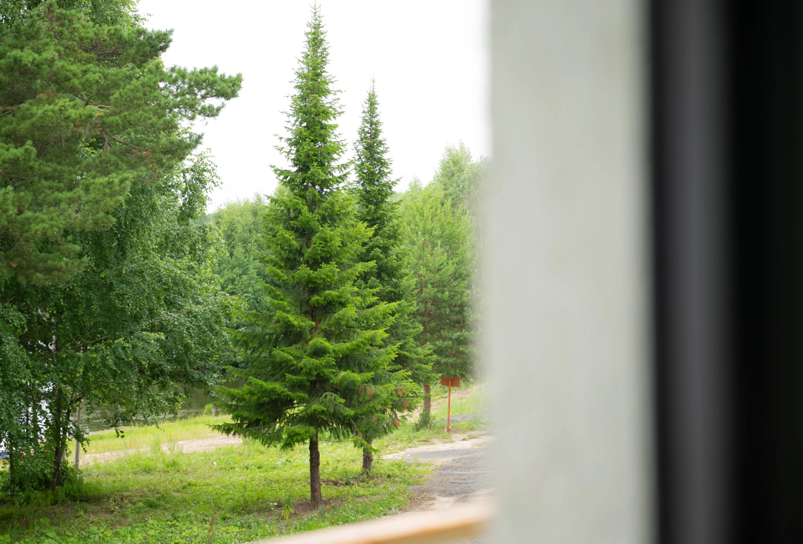 Санаторий Веда