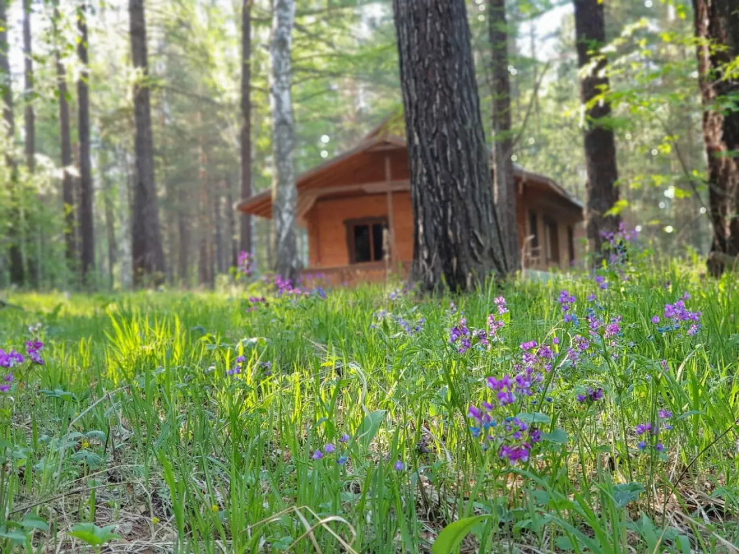 База отдыха Лапландия