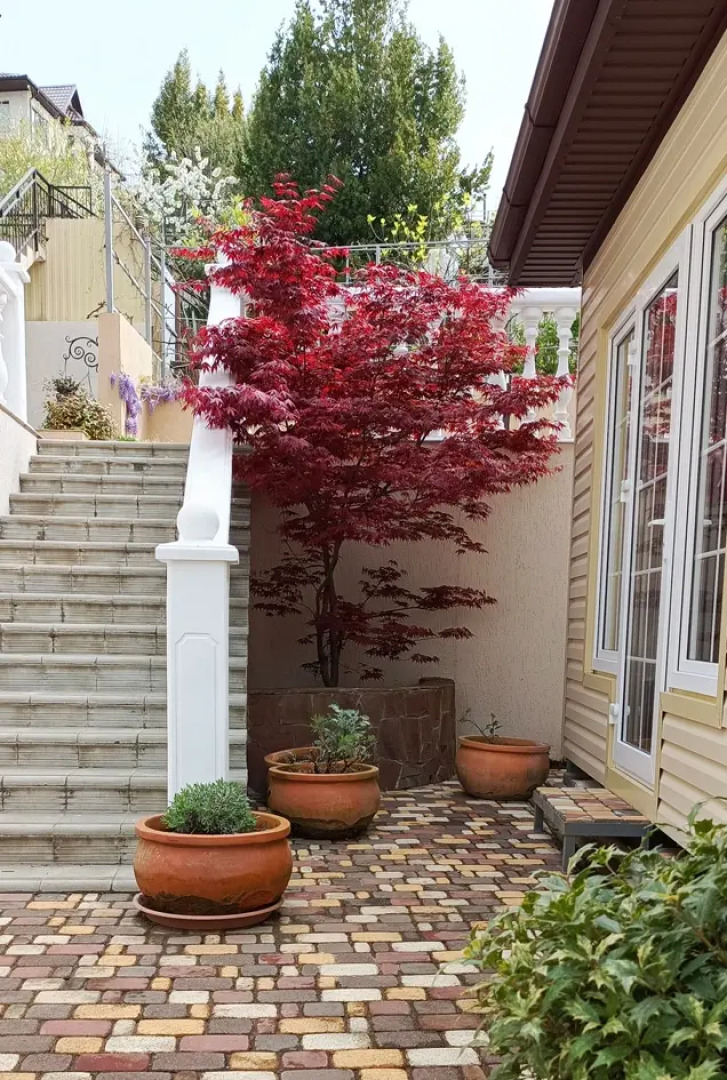 Гостевой дом Французский дом