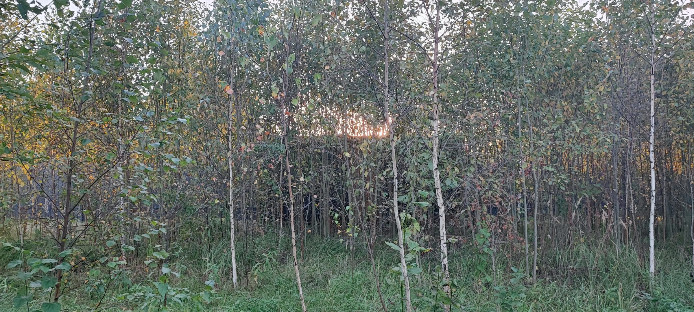 Частный дом Тишь