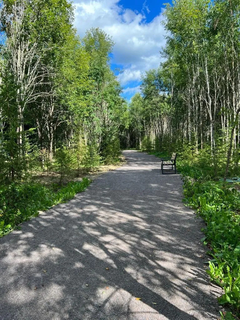 База отдыха Домик в лесу