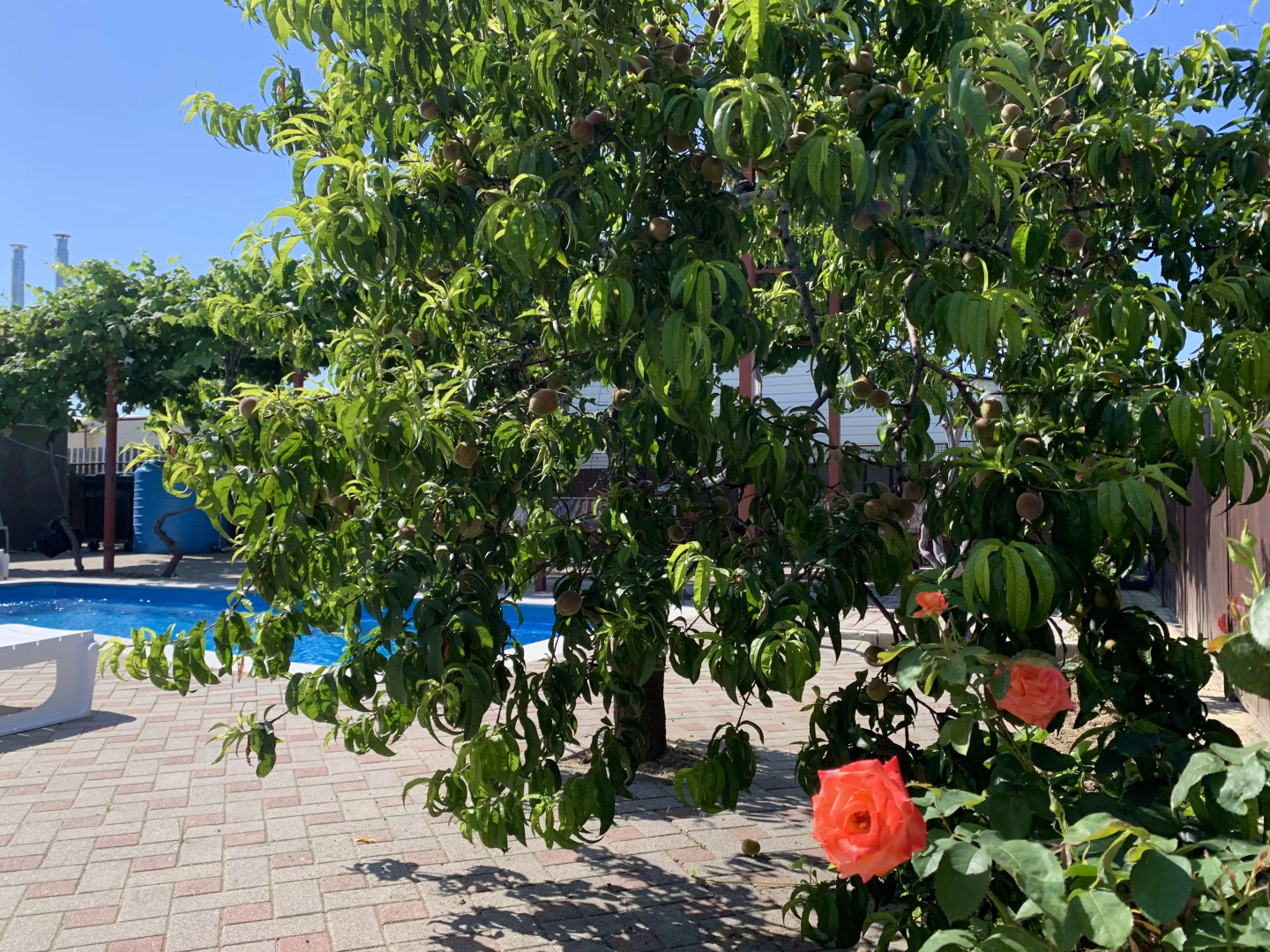 Гостевой дом Надежда