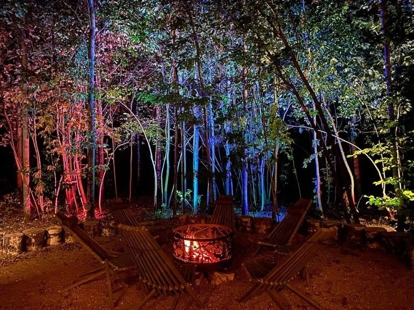 Коттедж Шале-солнечный