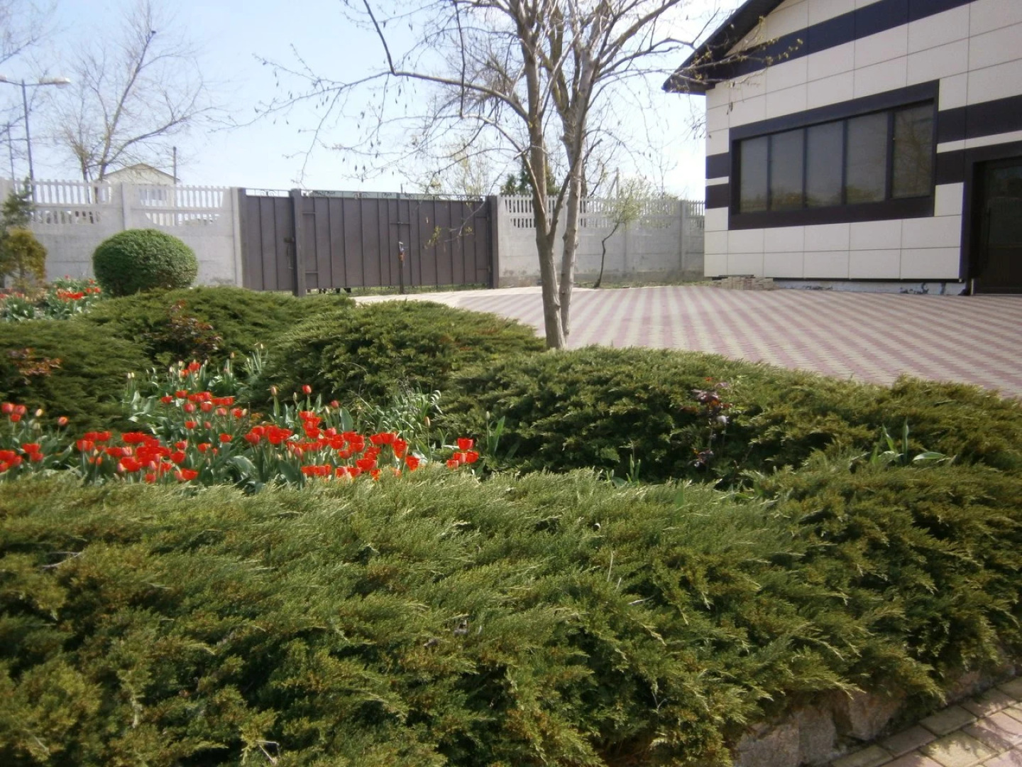 База Отдыха Волна