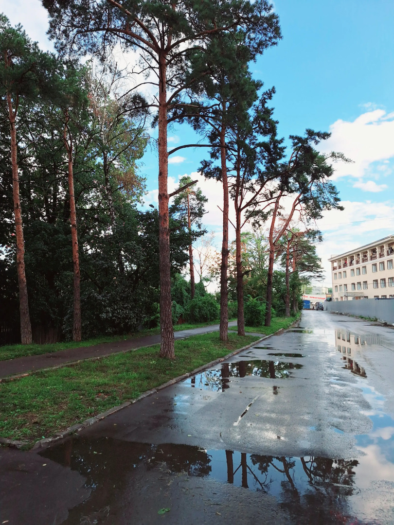 Апартаменты M1 Home апартаменты у метро Немчиновка