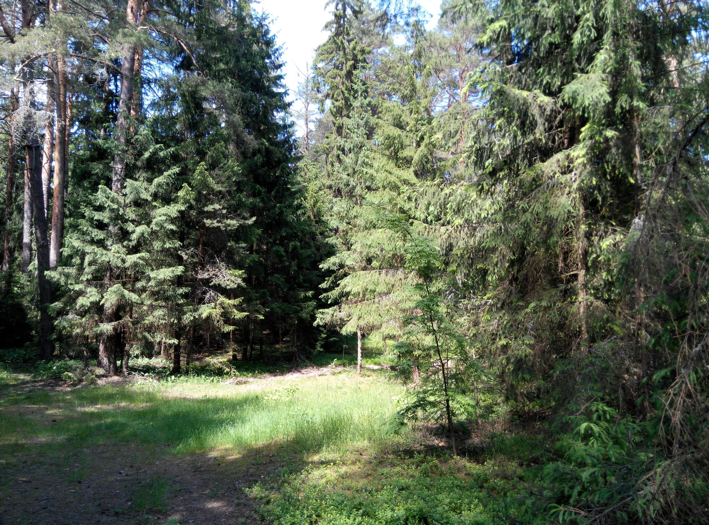 Гостевой Дом "На Волге!"