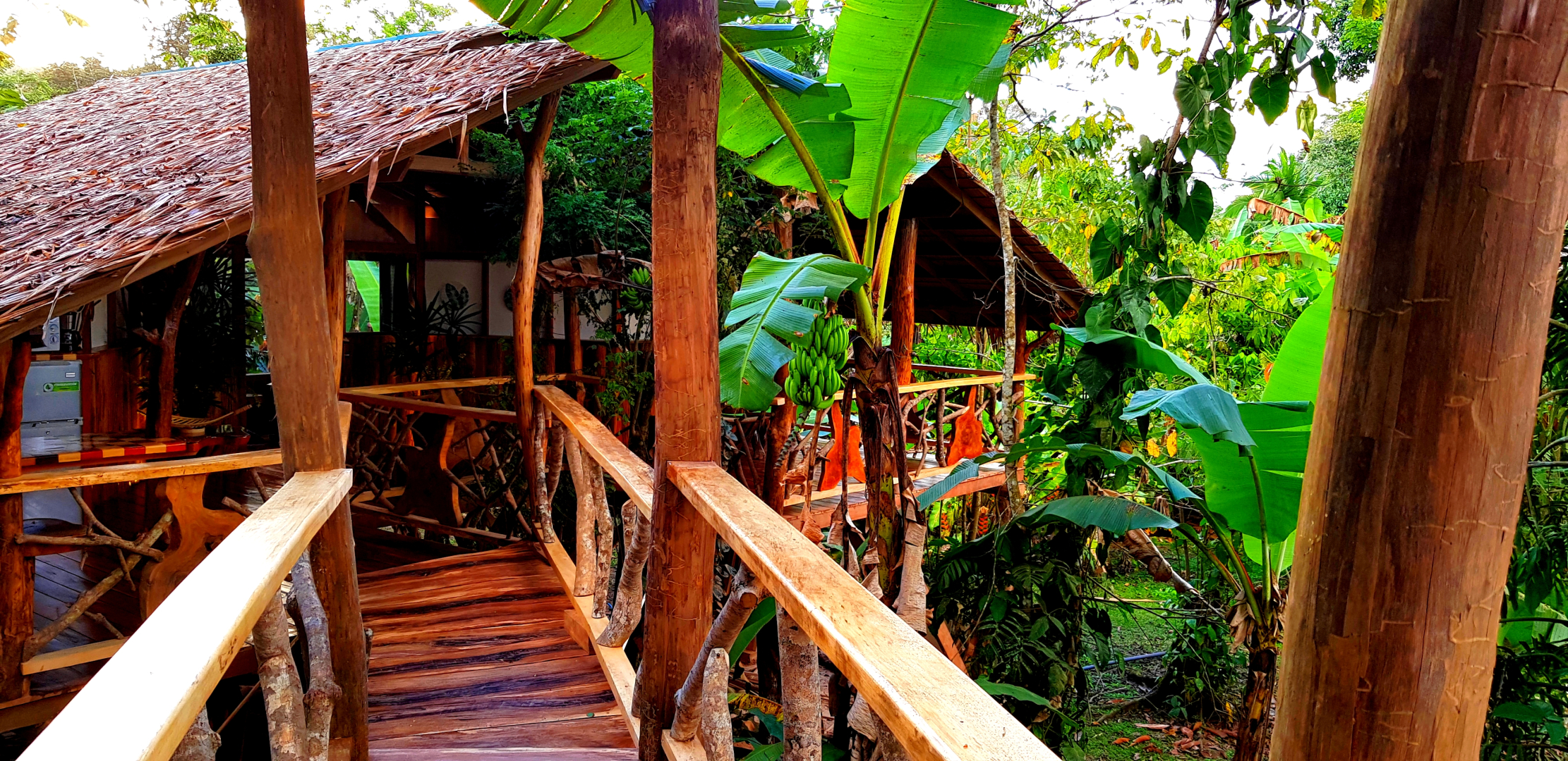 Отель 3 Bamboo Ecolodge