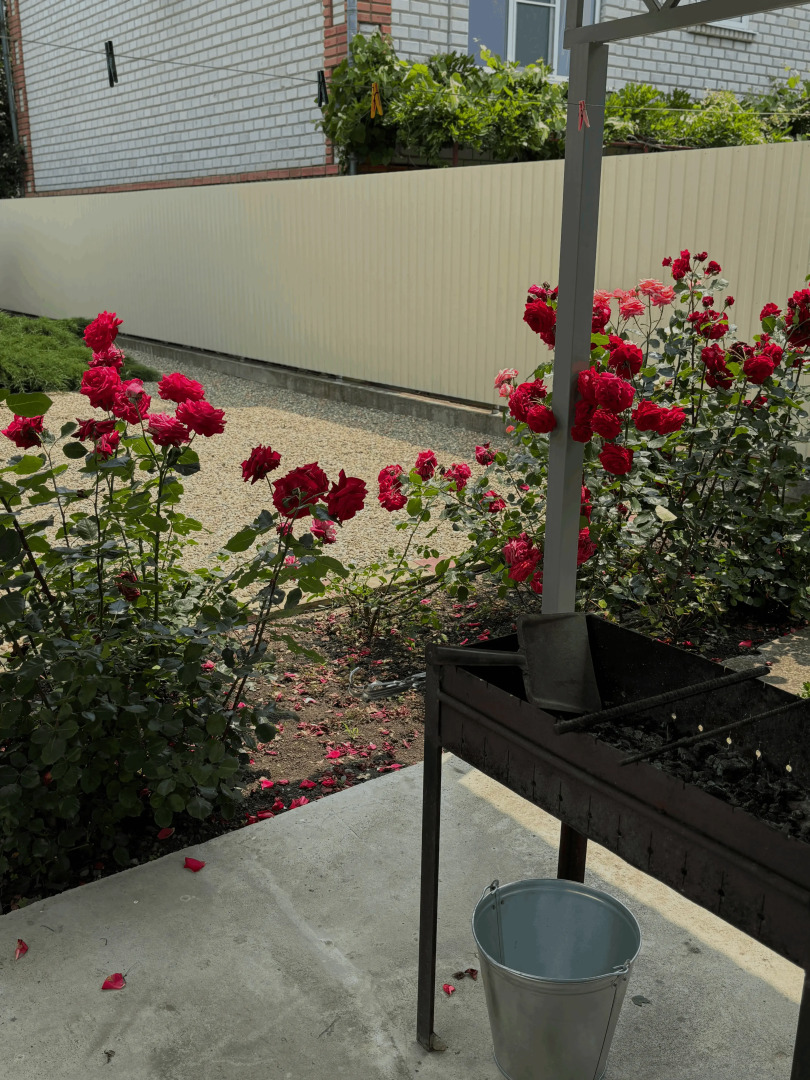 Гостевой дом Дар