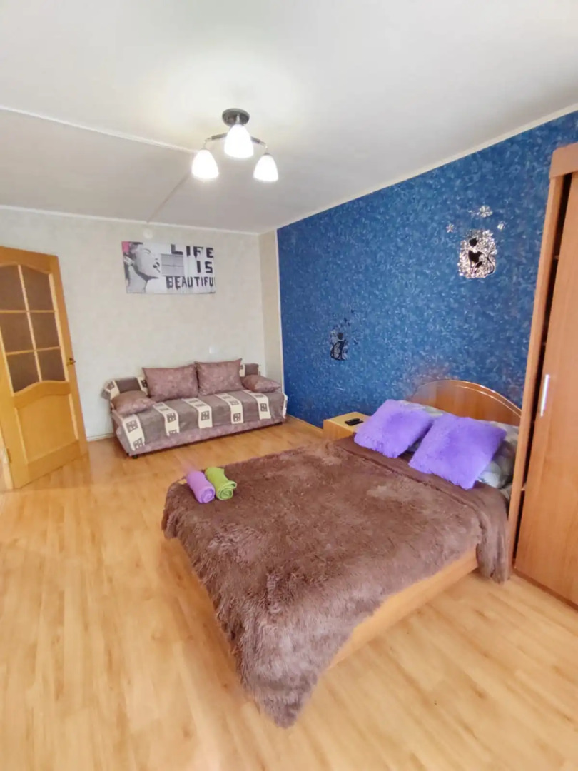 Однокомнатная  квартира на проспекте Победы