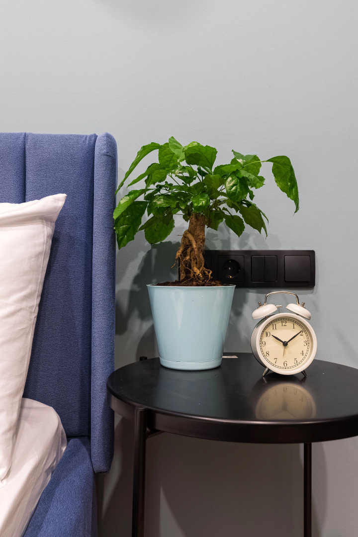 Апарт-отель Port Comfort bу old Nevsky