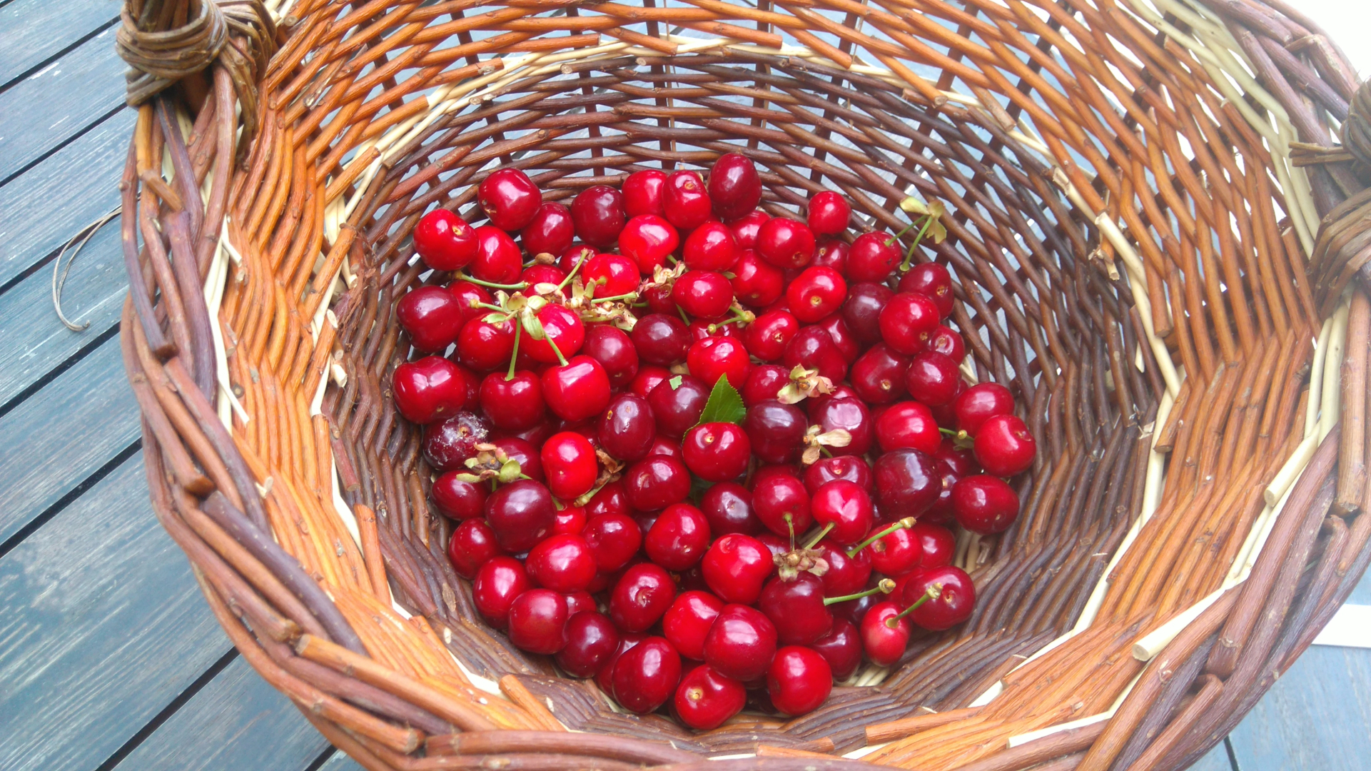 Гостевой Дом Mas de Cocagne en Provence