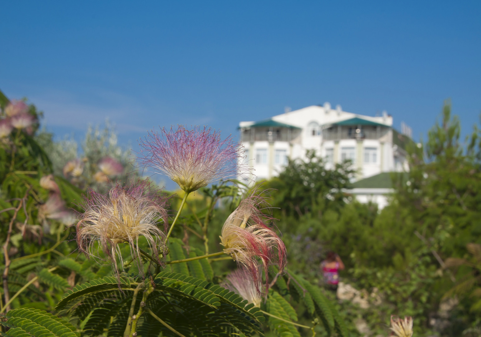 Гостевой Дом Бриз