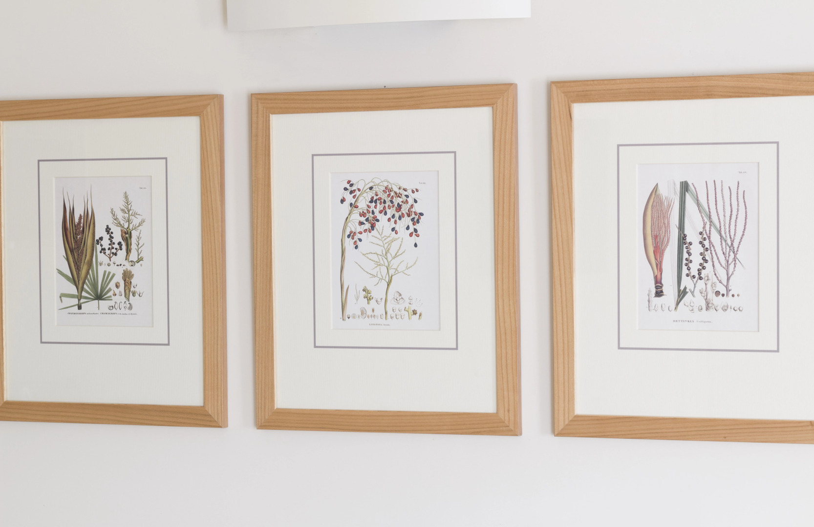 Апарт-отель Residence Hilda