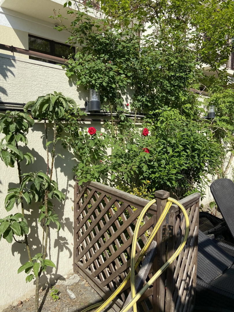 Гостевой дом Геленджикский дворик