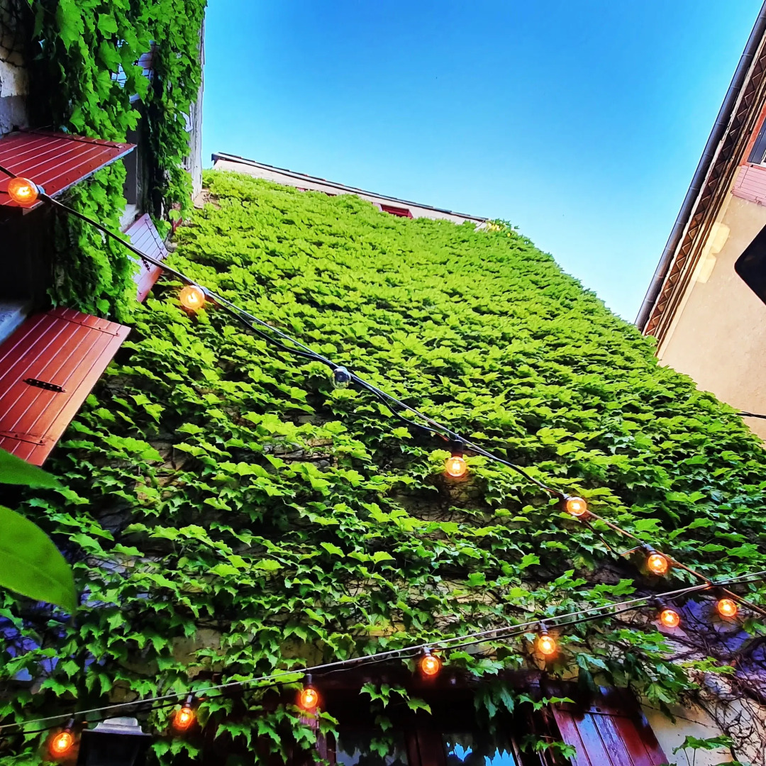 Отель Renaissance