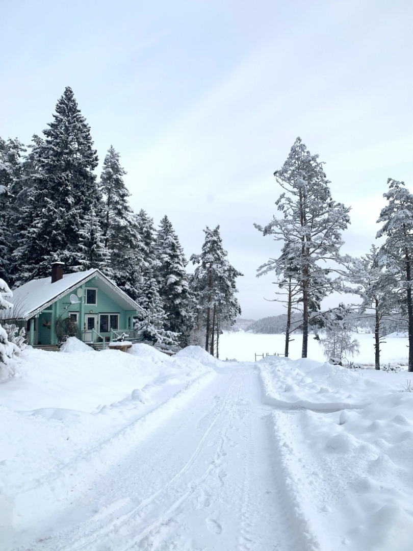 Частный дом Домики Ихоярви на Ладоге (дом 2)