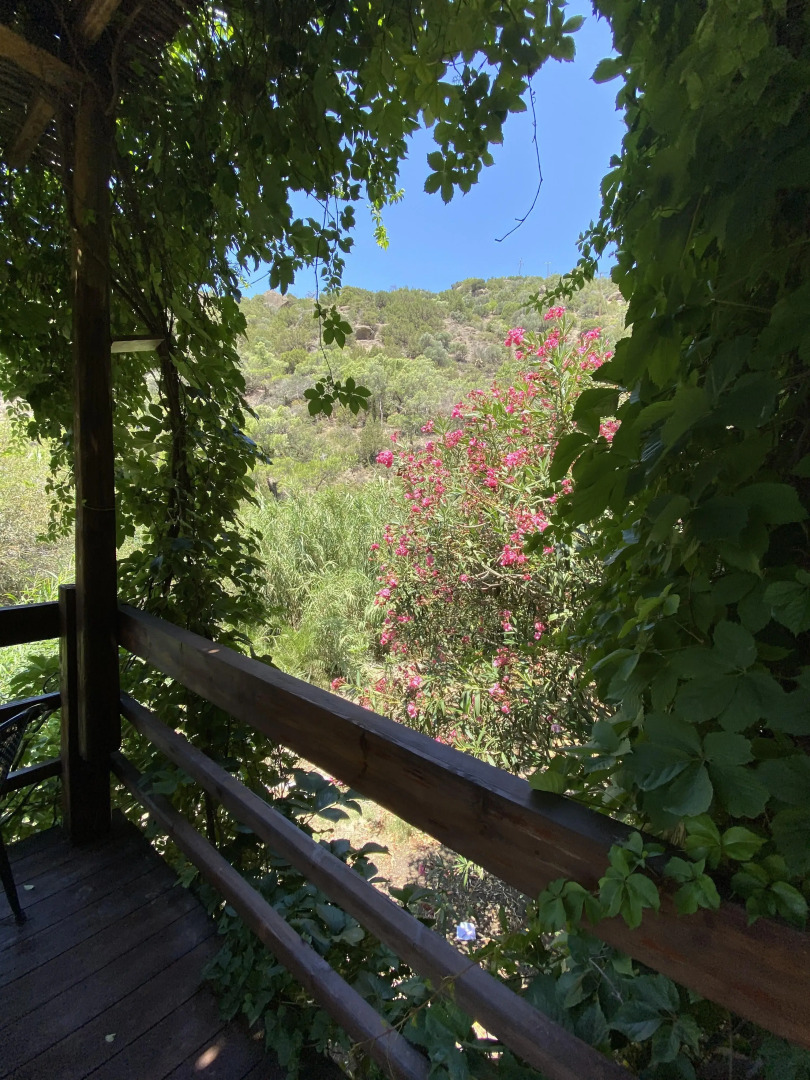 Апарт-Отель Oleander's Garden