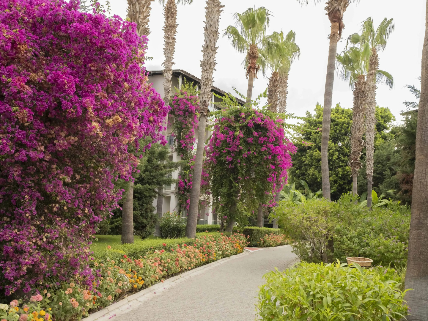 Sealife Buket Resort & Beach Hotel – All Inclusive