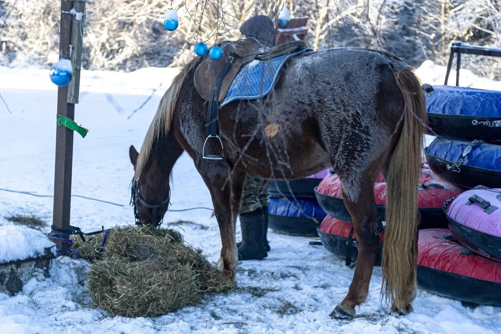 База отдыха Ордино